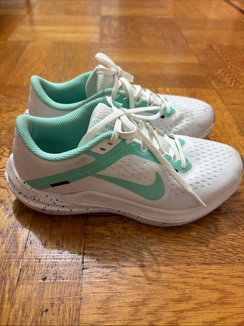 Nike Winflo 10